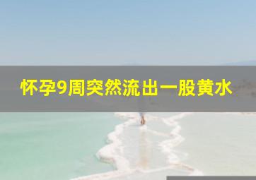 怀孕9周突然流出一股黄水