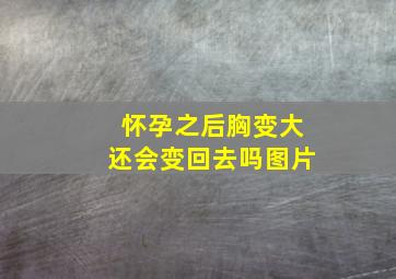 怀孕之后胸变大还会变回去吗图片