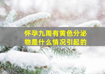 怀孕九周有黄色分泌物是什么情况引起的