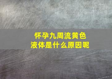 怀孕九周流黄色液体是什么原因呢