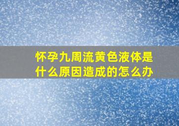 怀孕九周流黄色液体是什么原因造成的怎么办