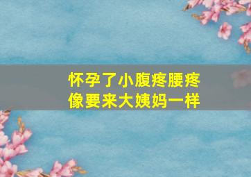 怀孕了小腹疼腰疼像要来大姨妈一样