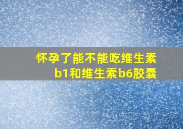 怀孕了能不能吃维生素b1和维生素b6胶囊