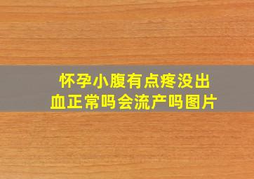 怀孕小腹有点疼没出血正常吗会流产吗图片