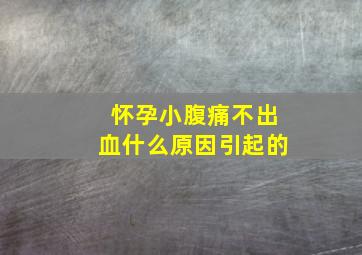 怀孕小腹痛不出血什么原因引起的