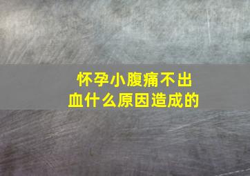 怀孕小腹痛不出血什么原因造成的