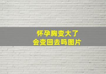 怀孕胸变大了会变回去吗图片