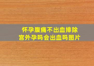 怀孕腹痛不出血排除宫外孕吗会出血吗图片