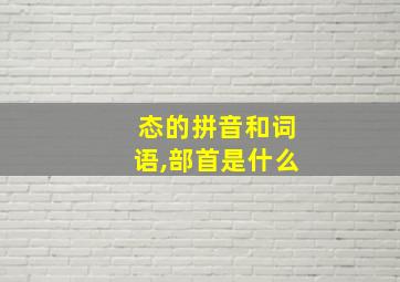 态的拼音和词语,部首是什么