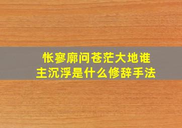 怅寥廓问苍茫大地谁主沉浮是什么修辞手法