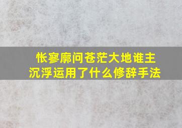 怅寥廓问苍茫大地谁主沉浮运用了什么修辞手法