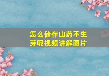 怎么储存山药不生芽呢视频讲解图片