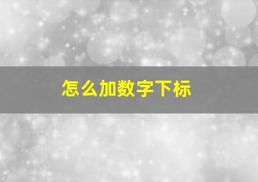 怎么加数字下标