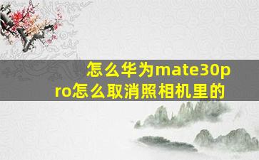 怎么华为mate30pro怎么取消照相机里的