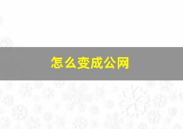 怎么变成公网