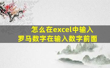 怎么在excel中输入罗马数字在输入数字前面