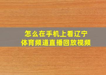 怎么在手机上看辽宁体育频道直播回放视频