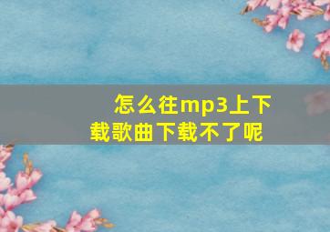 怎么往mp3上下载歌曲下载不了呢