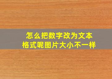 怎么把数字改为文本格式呢图片大小不一样