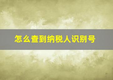 怎么查到纳税人识别号