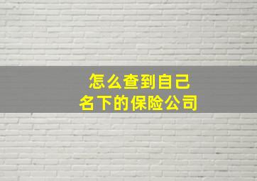 怎么查到自己名下的保险公司