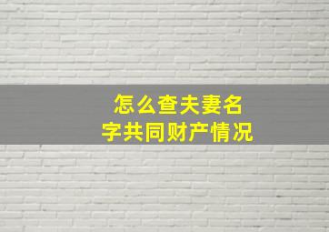 怎么查夫妻名字共同财产情况