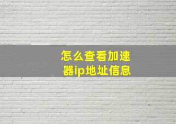 怎么查看加速器ip地址信息