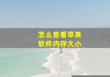 怎么查看苹果软件内存大小