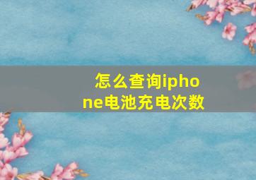 怎么查询iphone电池充电次数