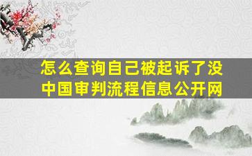 怎么查询自己被起诉了没中国审判流程信息公开网