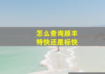 怎么查询顺丰特快还是标快