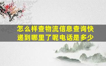 怎么样查物流信息查询快递到哪里了呢电话是多少