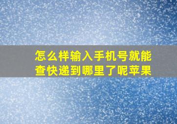 怎么样输入手机号就能查快递到哪里了呢苹果