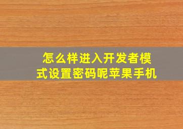 怎么样进入开发者模式设置密码呢苹果手机