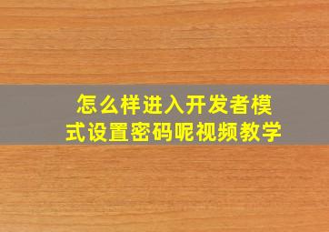 怎么样进入开发者模式设置密码呢视频教学