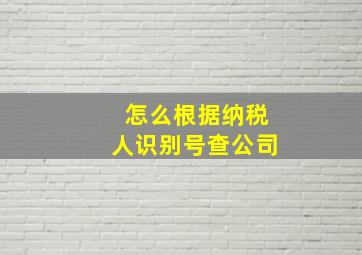 怎么根据纳税人识别号查公司