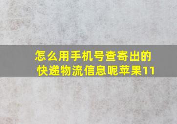 怎么用手机号查寄出的快递物流信息呢苹果11