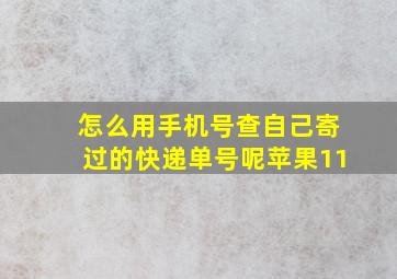 怎么用手机号查自己寄过的快递单号呢苹果11