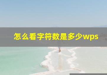 怎么看字符数是多少wps