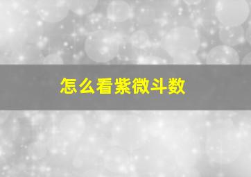 怎么看紫微斗数