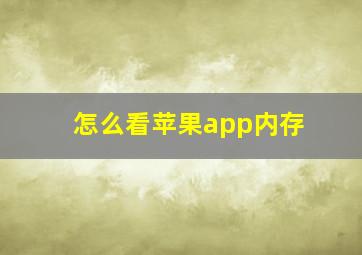 怎么看苹果app内存