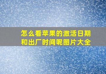 怎么看苹果的激活日期和出厂时间呢图片大全