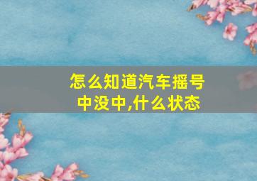 怎么知道汽车摇号中没中,什么状态