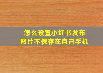 怎么设置小红书发布图片不保存在自己手机