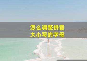 怎么调整拼音大小写的字母