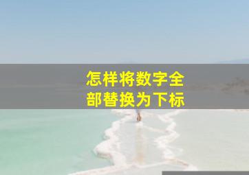 怎样将数字全部替换为下标