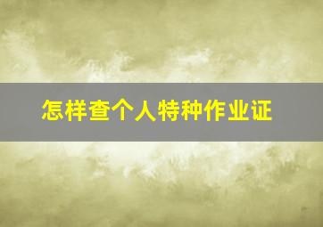 怎样查个人特种作业证