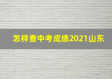 怎样查中考成绩2021山东