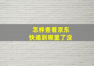 怎样查看京东快递到哪里了没