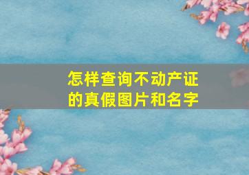 怎样查询不动产证的真假图片和名字